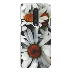 Чехол с ромашками на OnePlus 7 Pro (Цветы Ромашки)
