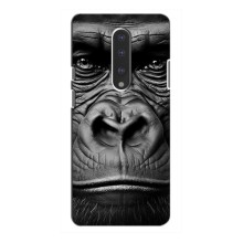 Чохли з Горилою на ВанПлас 7 – Чорна мавпа
