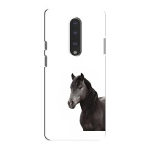 Чехлы с Лошадью дляOnePlus 7 (VPrint) (Чорний кінь)