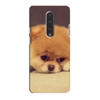 Чехол (ТПУ) Милые собачки для OnePlus 7 – Померанский шпиц