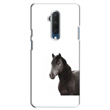 Чехлы с Лошадью дляOnePlus 7T Pro (VPrint) (Чорний кінь)