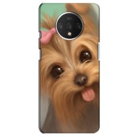 Чехол (ТПУ) Милые собачки для OnePlus 7T (Йоршенский терьер)
