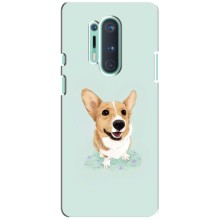 Чехлы с собаками для OnePlus 8 Pro (VPrint) (Корги)