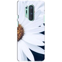 Чохол з ромашками на OnePlus 8 Pro (Пів ромашки)