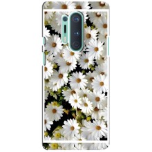 Чохол з ромашками на OnePlus 8 Pro (Рамка в ромашках)