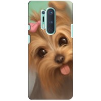 Чехол (ТПУ) Милые собачки для OnePlus 8 Pro (Йоршенский терьер)