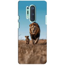 Чохол Король лев на OnePlus 8 Pro (Мусафа і Сімба)