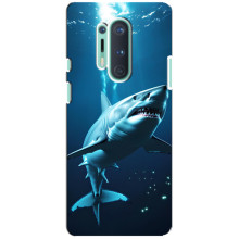 Чехол с картинкой «Хищники» для OnePlus 8 Pro (Акула)