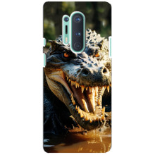 Чехол с картинкой «Хищники» для OnePlus 8 Pro (Крокодил)