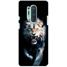 Чехол с картинкой «Хищники» для OnePlus 8 Pro (Лев)