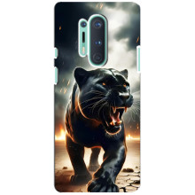 Чехол с картинкой «Хищники» для OnePlus 8 Pro (Пантера)