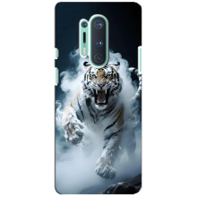 Чехол с картинкой «Хищники» для OnePlus 8 Pro (Тигр)