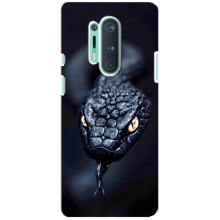 Чехол с картинкой «Хищники» для OnePlus 8 Pro (Змея)
