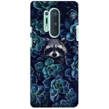 Силиконовый Чехол с Енотами на OnePlus 8 Pro (В цветах)