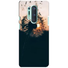 Силиконовый Чехол с одуванчиками на OnePlus 8 Pro (Красивый одуванчик)