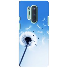 Силіконовий Чохол з кульбабками на OnePlus 8 Pro (Кульбабка на блакитному)