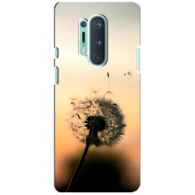 Силіконовий Чохол з кульбабками на OnePlus 8 Pro (Роздмухана кульбабка)