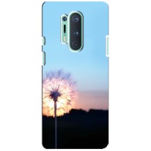 Силиконовый Чехол с одуванчиками на OnePlus 8 Pro (Закат с одуванчиком)