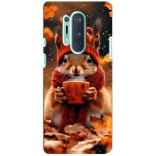 Друкований чохол 'Звірята з кавою' для OnePlus 8 Pro – Білка з кавою