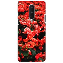 Чехлы с Цветами для OnePlus 8 (VPrint) (Цветы красные)