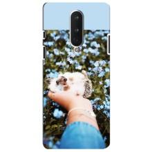 Чехлы с изображением разных животных для OnePlus 8 (Ежик на руках)