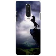 Чехлы с изображением разных животных для OnePlus 8 (Лошадь)