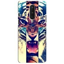 Чехлы с изображением разных животных для OnePlus 8 (Яркий Тигр)