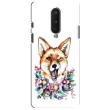 Чехлы с картинкой Лисички для OnePlus 8 (VPrint) (Веселая лисичка)