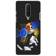 Чехлы с картинкой собаки Патрон для OnePlus 8 (AlphaPrint) – Патрон собачка