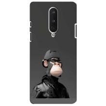 Чехлы с Обезьянами NFT для OnePlus 8 (AlphaPrint) (стильная обезьяна NFT)