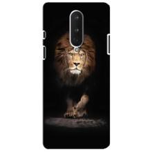 Чехол со Львом для OnePlus 8 (VPrint) (Лев)