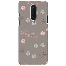 Чехол с рисунком кот на OnePlus 8 – Лапы и усы