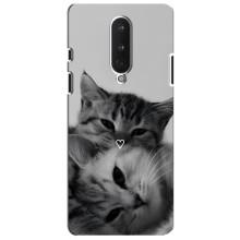Чехол с рисунком кот на OnePlus 8 – Пара котов
