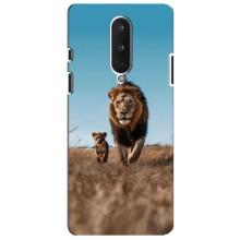 Чехол Король лев на ВанПлас 8 – Мусафа и Симба