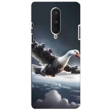 Чехол с мемом Тралалело тралала на OnePlus 8 – Бомбардини гусини