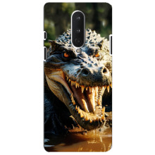 Чехол с картинкой «Хищники» для OnePlus 8 – Крокодил