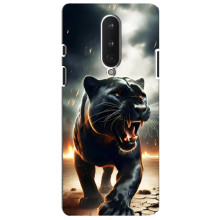 Чехол с картинкой «Хищники» для OnePlus 8 – Пантера