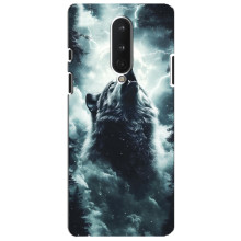 Чехол с картинкой «Хищники» для OnePlus 8 – Волк
