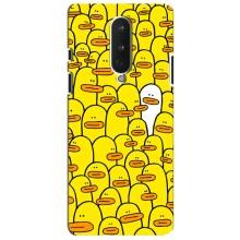 Силиконовый бампер с картинкой животных для OnePlus 8 (Особенный)