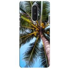 Силиконовый чехол с КАРТИНКАМИ лето для OnePlus 8 (AlphaPrint) – Пальма