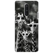 Силиконовый чехол с КАРТИНКАМИ лето для OnePlus 8 (AlphaPrint) – Жирафы в очках