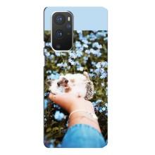 Чехлы с изображением разных животных для OnePlus 9 Pro (Ежик на руках)