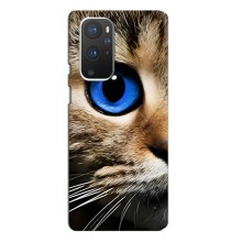 Чехлы с Котиками для OnePlus 9 Pro (VPrint) (Глаз кота)