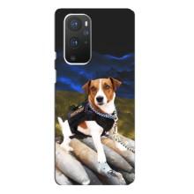Чохол з принтом Песика Патрон для OnePlus 9 Pro (Пес Патрон)