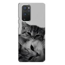 Чехол с рисунком кот на OnePlus 9 Pro – Пара котов