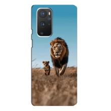 Чехол Король лев на ВанПлас 9 Про (Мусафа и Симба)