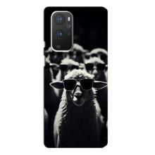 Чехол с принтом стильные животные для ВанПлас 9 Про (Овечка в очках)
