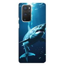 Чехол с картинкой «Хищники» для OnePlus 9 Pro – Акула
