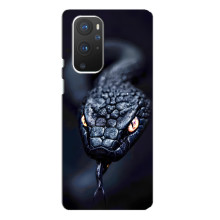 Чехол с картинкой «Хищники» для OnePlus 9 Pro – Змея