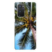 Силиконовый чехол с КАРТИНКАМИ лето для OnePlus 9 Pro (AlphaPrint) – Пальма